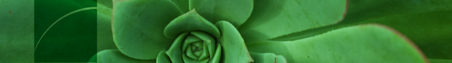 Going Green